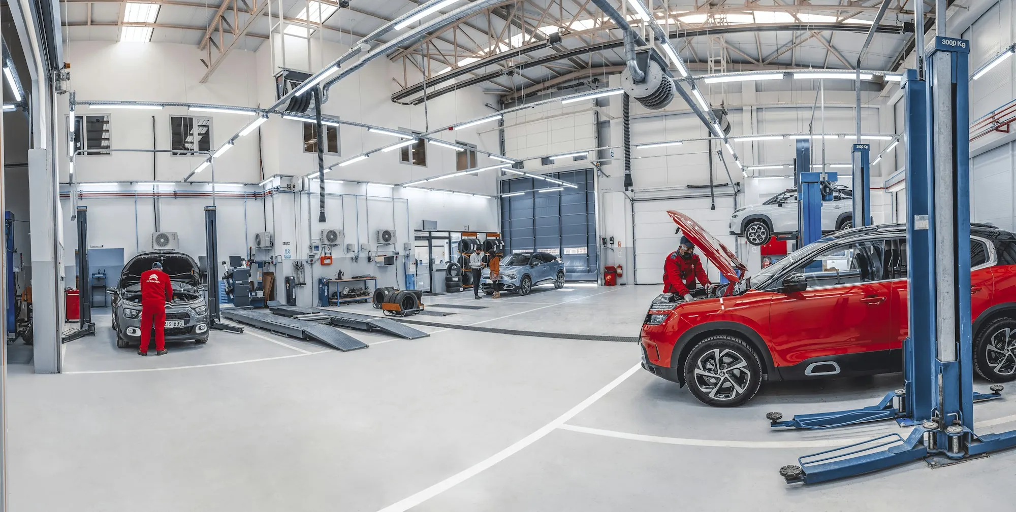 Bright repair shop floor with vehicles raised on lifts